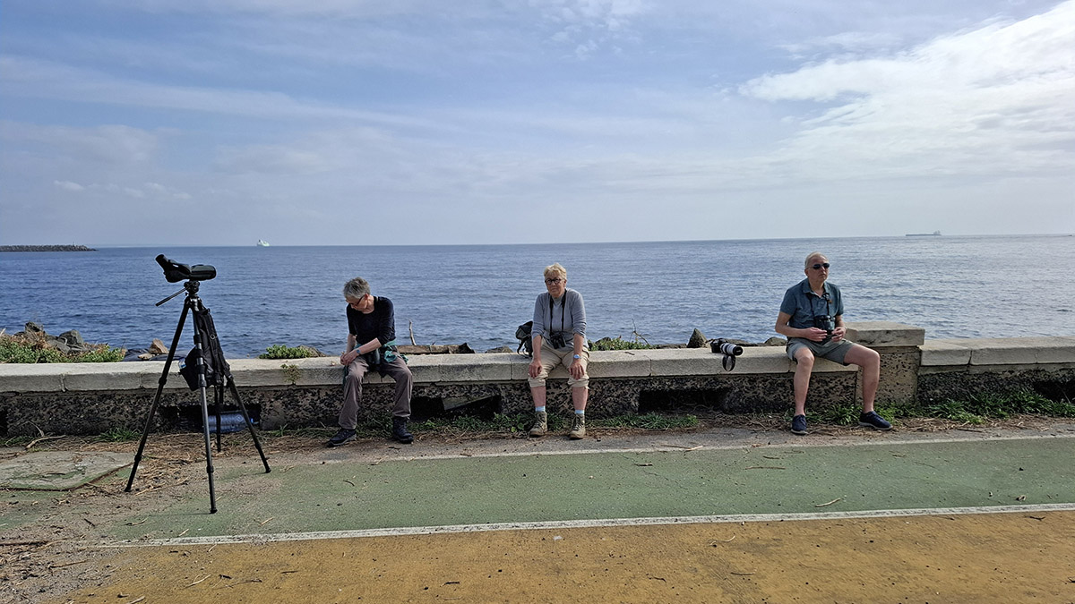 Sines